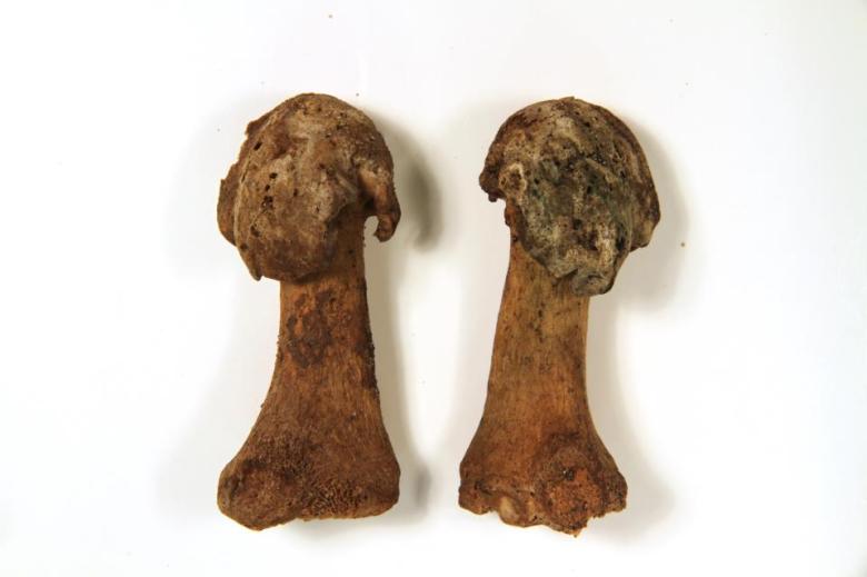 Senaatintorin luututkimusten tuloksia