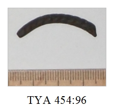 Rannerenkaan katkelma. Kuva: Heidi Viljanen.