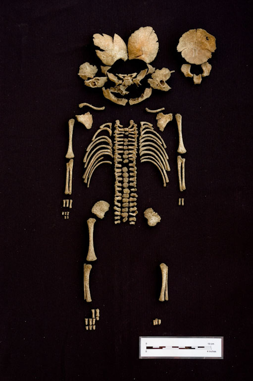 Kuva: richmacdonald.com