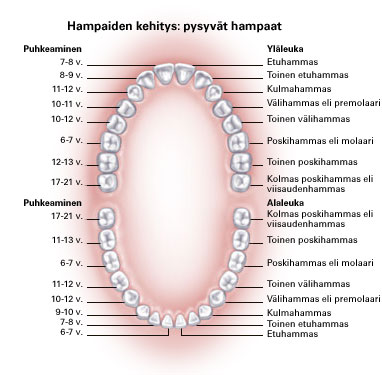 Lasten luustoiän määrityksestä