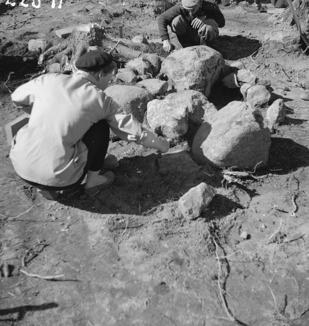 Pöytyän Yläneen Anivehmaanmäen viikinkiaikaisen ruumiskalmiston hautaa 55 kaivetaan vuonna 1957. Kuvassa näkyy haudan pinnalla oleva kiveys, jonka alla olevaan hautakuoppaan on laskettu vainaja nauloilla kiinnitettyssä arkussa. Koska Anivehmaanmäen haudoissa luuaines on lähes kokonaan maatunutta, perustuvat haudattujen sukupuoliarviot esineistöön. Kuvan haudassa antimena oli yksi keihäänkärki, joten vainaja on mahdollisesti ollut mies. Kuva: Anna-Liisa Hirviluoto.
