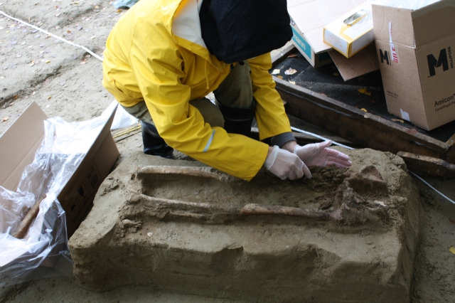 Mikko Putkonen ottaa DNA-näytettä haudasta 1 Mikkelin Tuukkalan kaivauksilla 2009. Kuva: Esa Mikkola/Museovirasto Finna.fi