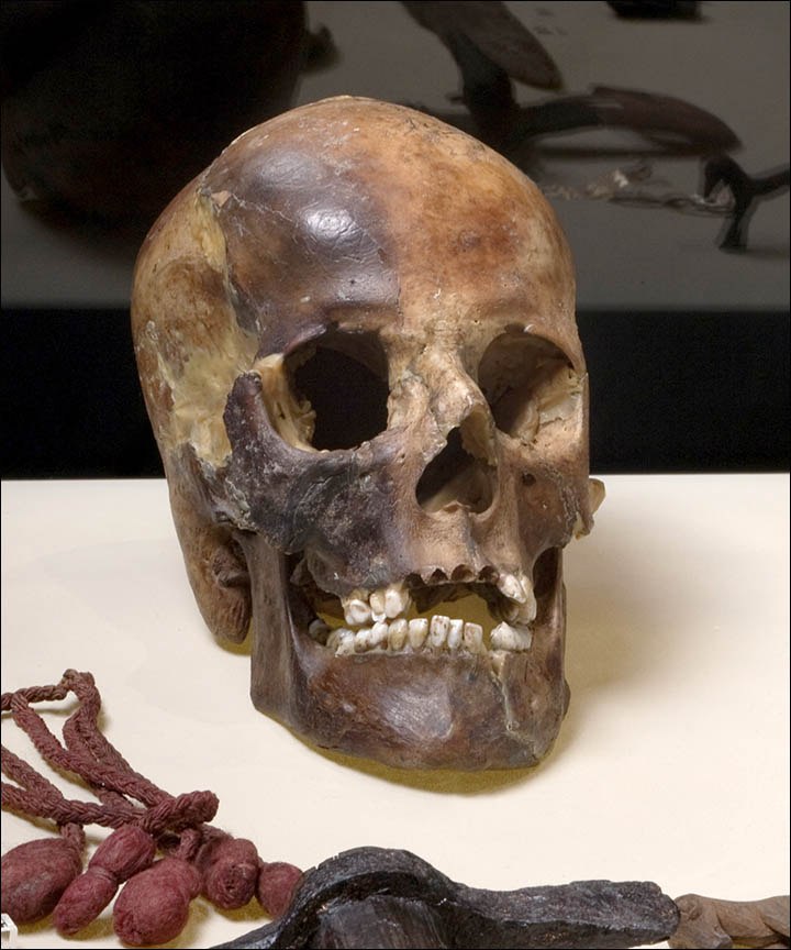 Kuva: M. Nyffenegger.