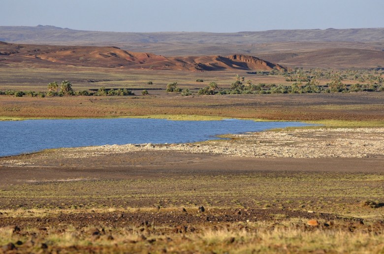 Turkana-järvi, jonka itärannalla sijaitsevasta Koobi Forasta on löytynyt runsaasti varhaisten homininien fossiileja. Alueen ilmasto on kuivaa, mikä poissulkee Treponema-bakteerin aiheuttaman infektion. Kuva:  Luciano Rizzello/Flickr CC.