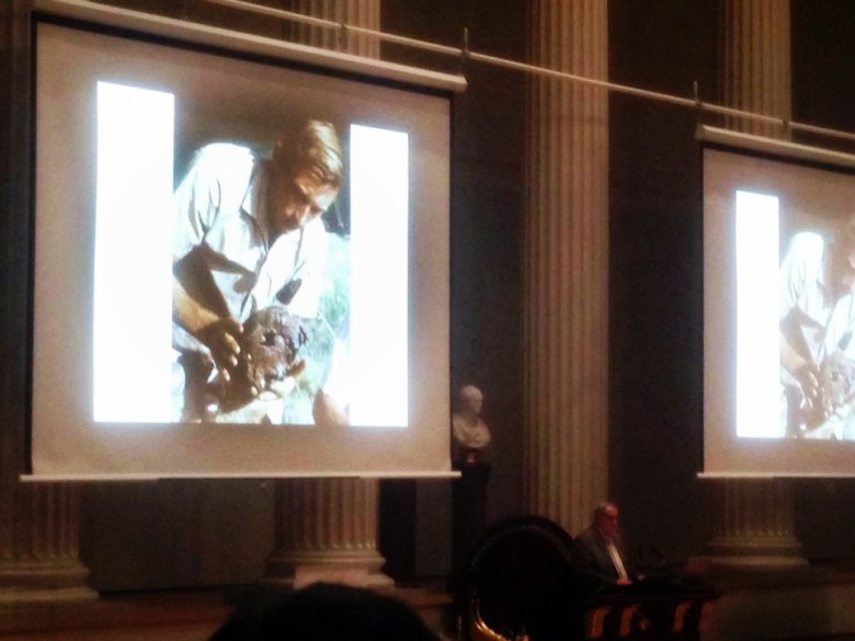 Leakeyn löytämä sapiens-kallo oli pettymys vanhemmille, jotka toivoivat Australopithecusta. Kuva: Juhani Gradistanac.