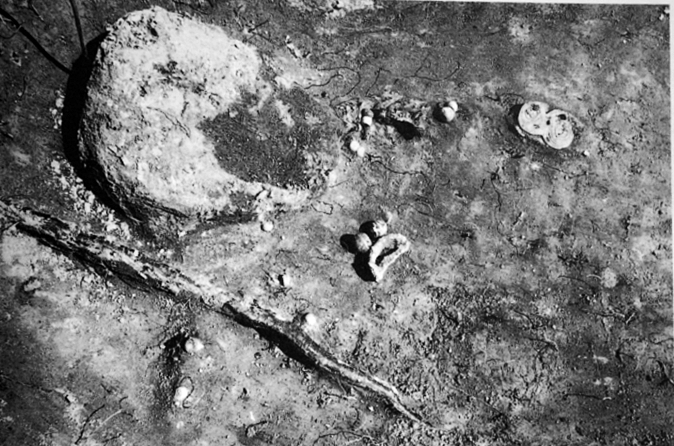 Euran Luistarista sankasolkia on sekä naisten että miesten haudoista. Kuvassa naisenhauta 1062 kolmine solkineen ja helmineen. Kuva: Lehtosalo-Hilander 2000b, fig. 63.