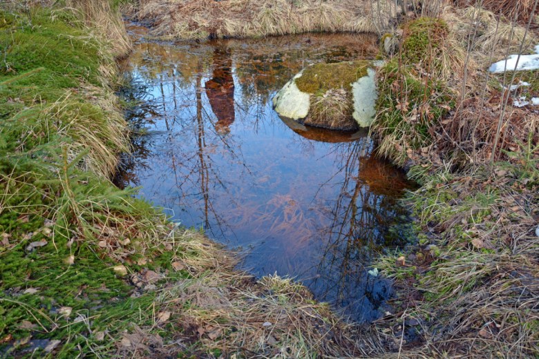Kangasniemen Hokan Elämänlähde oli 1700-1800 -luvulla aktiivisesti käytetty terveyslähde. Lähteen veden kerrottiin vaikuttaneen voimakkaasti.