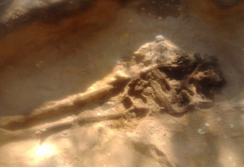 Hauta 3, jonka yhteydessä Polttohaudat 1 ja 2 sijaitsivat. Polttohauta 2 näkyy vainajan oikean käsivarren vieressä. Kuva: J. Mujunen.