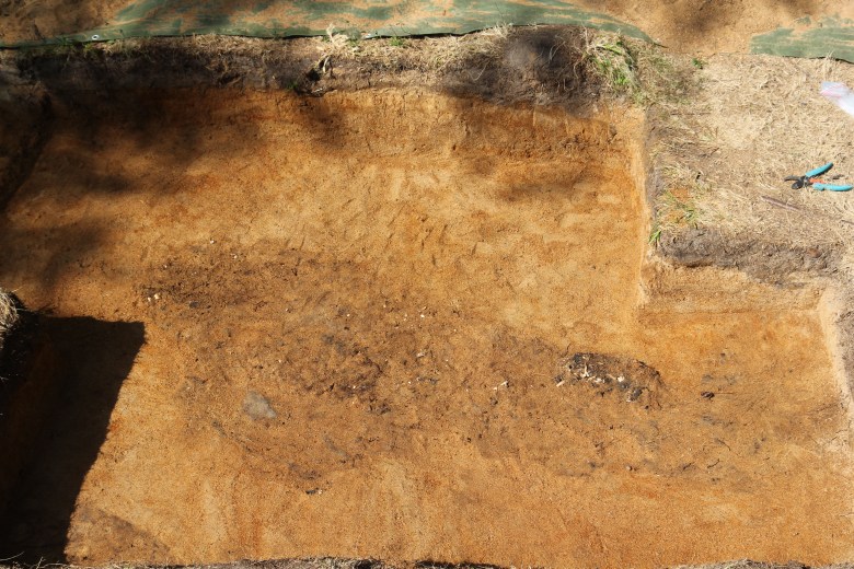 Hauta 3 ja Polttohaudat 1 ja 2 tulossa esiin.J. Mujunen.