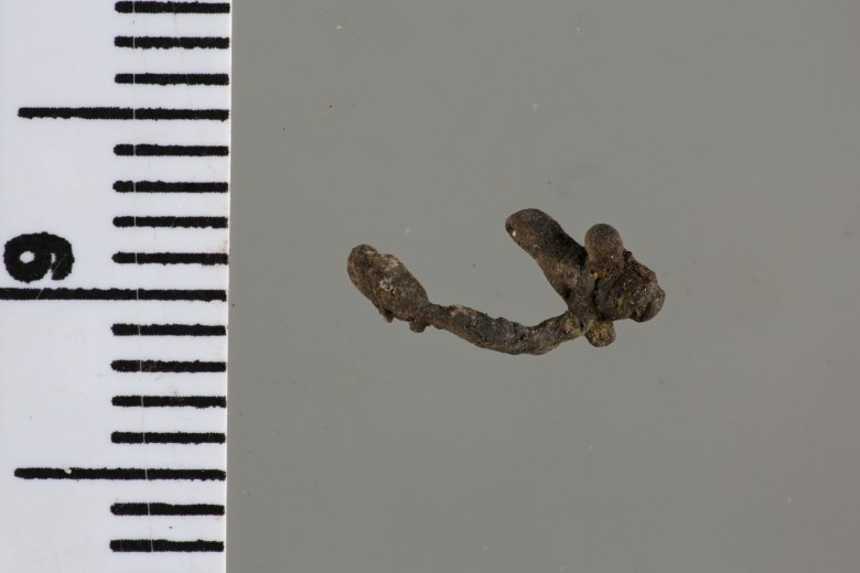 Ohut hopeamurkula. Kuva: J. Mujunen.