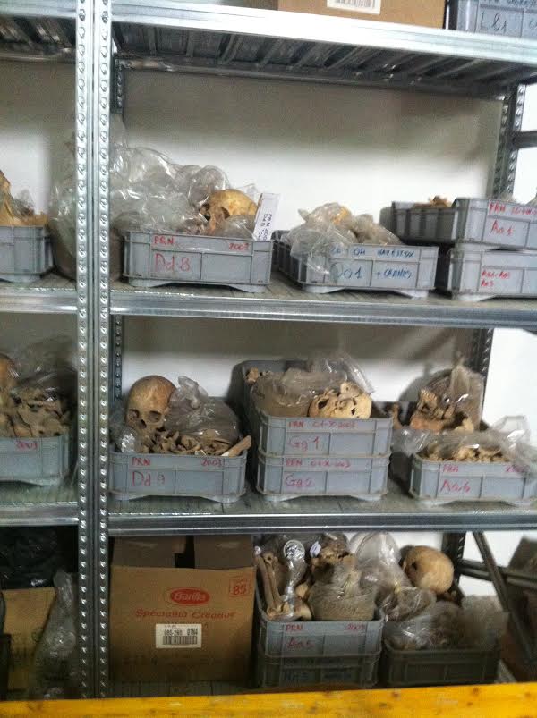 Kurssilla puhdistettavaa luuaineistoa. Kuva: Emmi Oksanen.