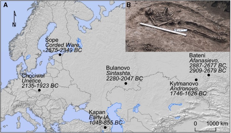 Tutkimuksessa etsittiin taudinaiheuttajan muinais-DNA:ta yhteensä 101 yksilön hampaista Euroopassa ja Aasiassa. Sopivia näytteitä hankittiin niin kaivauksilta kuin museokokoelmista. Yhteensä seitsemän yksilön hampaasta löydettiin Yersinia pestis -bakteeria. Yksilöt ja ajoitukset on esitetty kuvassa. Yläkulman hautaus on Sintasha-kulttuuriin kuuluvalta Bulanovon kohteelta. Kuva: Rasmussen & Allentoft et al. 2015, fig. 1.