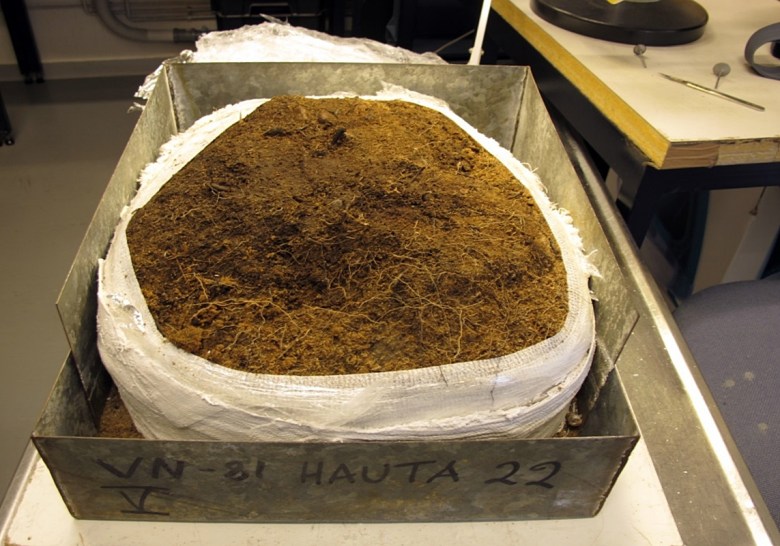 Haudan kipsattu pääosa laboratoriossa ennen kaivamista. Kuva: M.Kuusisto