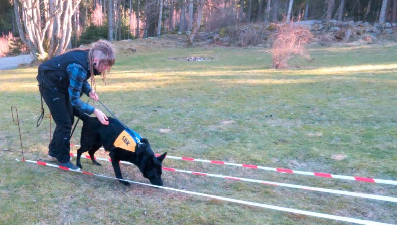 Kuva: Vallulv 2015, fig 2.