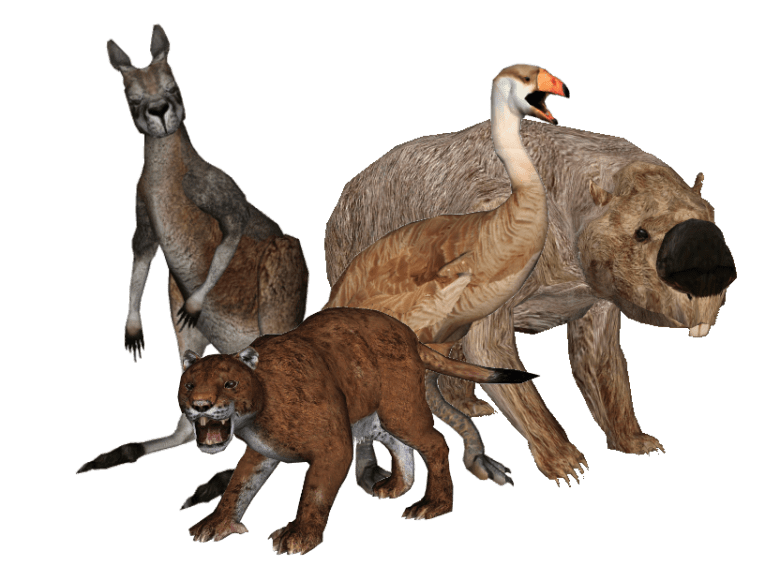 Australian megafaunaa, joka muodosti merkittävän osan mantereen vanhimman ihmisasutuksen ravinnosta. Kuva: Lazardi & Ringo.