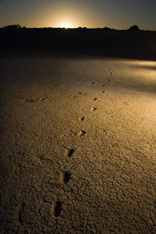 Pleistocene human footprints: Willandra Lakes in southeastern Australia.A A series of human prints found on traditional land. Bond university professor Steve Webb believes the prints date back to 19-23 ka from a small wetland surface at the height of the last glacial period. The tracks are of a small child and they possibly extend beyond the current site. Michael Amendolia