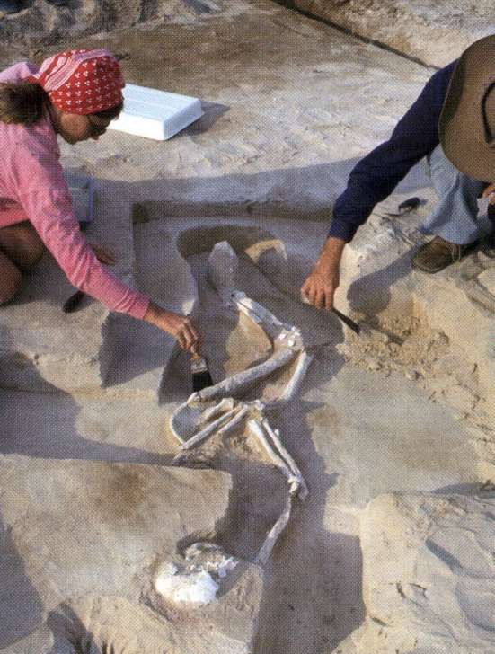 Mungon miehen hautaa tutkitaan vuonna 1974. Kuva: Australian Geographic.