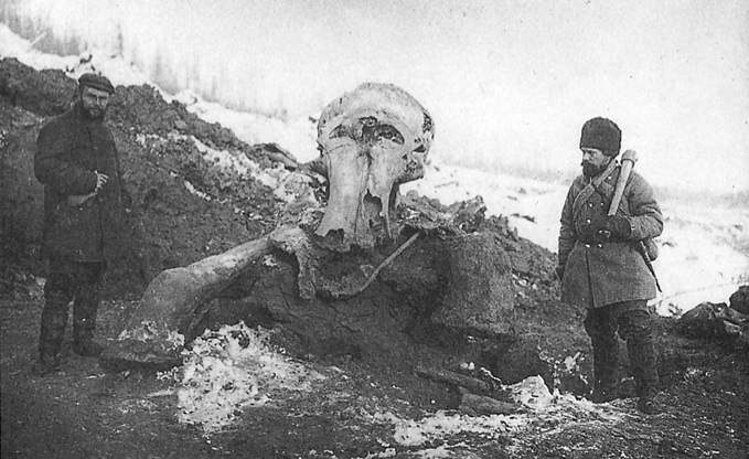 Otto Herz ja Eugen Pfizenmayer seisovat Beresovkan mammutin jäännöksillä vuonnna 1901.