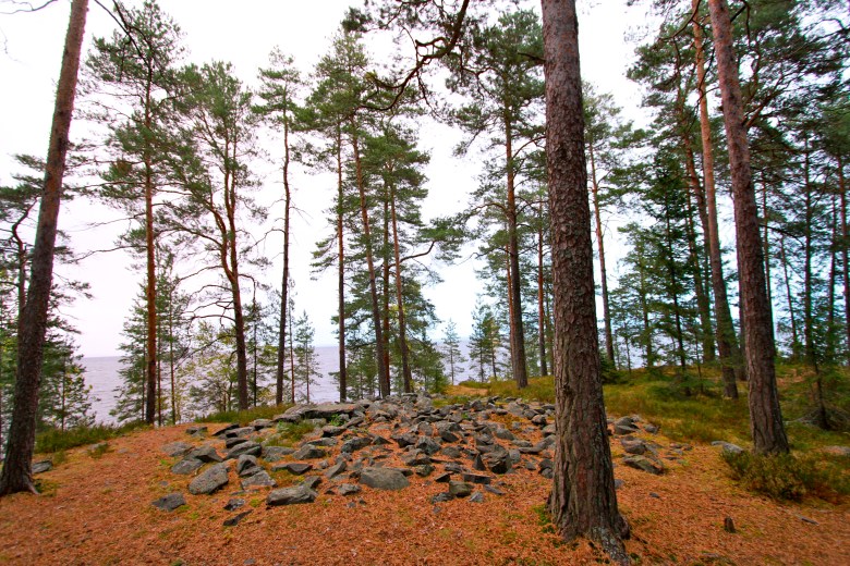 Reuharinniemi_NLuukko