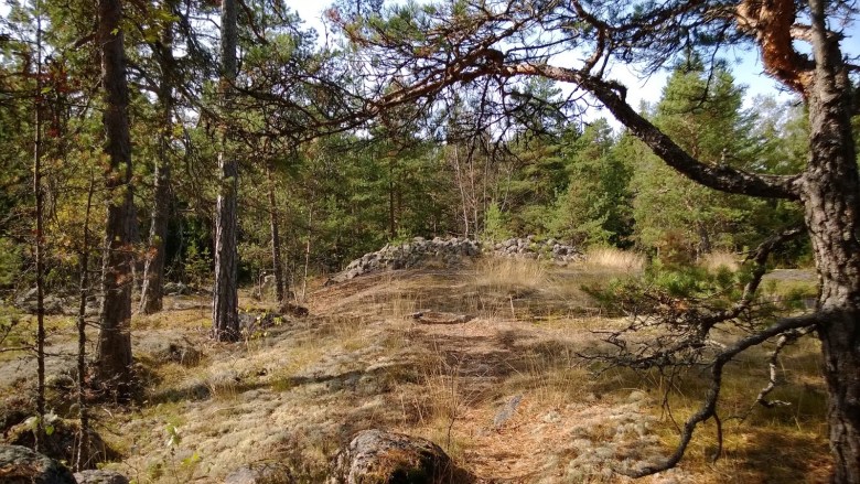 Höyterin röykkiöaluetta. Kiveysten rakentajilla on todennäköisesti ollut yhteyksiä Skandinaviaan, mihin sekä röykkiöhautaustapa, polttohautaus että esinelöytö viittaavat. Kuva: Kaisa Kyläkoski/Sukututkijan loppuvuosi.