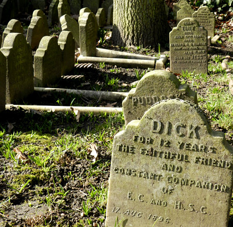 Lontoon Hyde Parkin koirien hautausmaa on yksi Euroopan vanhimmista nykyisenkaltaisista lemmikkien hautausmaista. Paikka avattiin vuonna 1881, ja jo 1903 kaikki hautapaikat olivat täynnä. Hautakivistä näkee, kuinka ihmisten nimet ovat lisääntyneet eläinten niminä viime vuosisadan kuluessa.