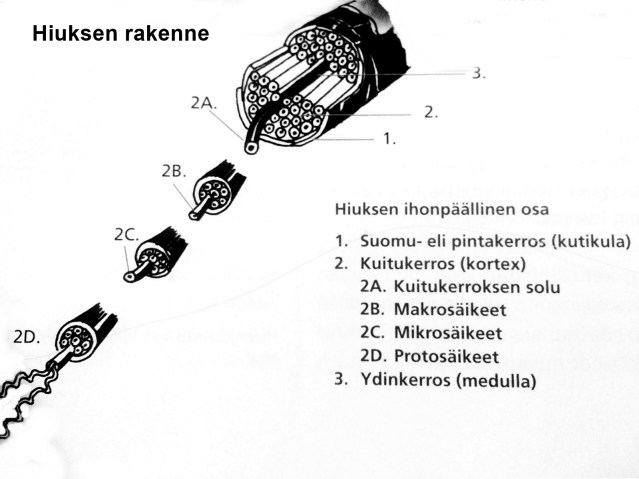 rakenne