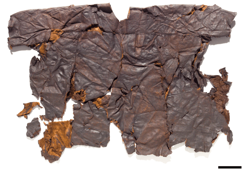 Kuva: Roberto Fortuna.