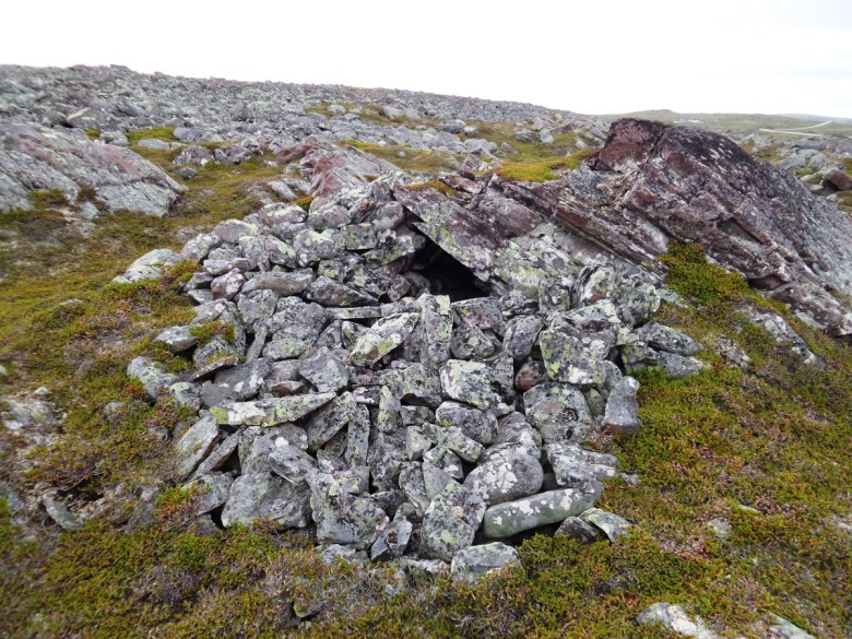 Kuva: Frans-Arne Stylegar (Creative Commons).