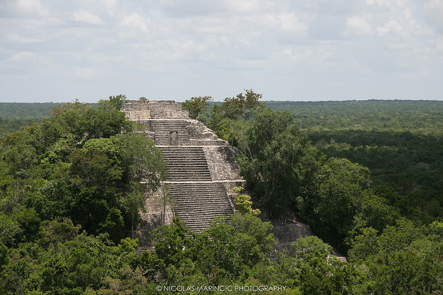 Calakmulin mayakaupungin suurin pyramidi. Kuva: Nicolas Marincic/CC.