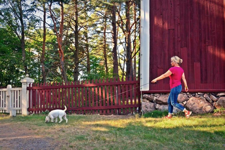 Arkeologi Sanna Saunaluoma kouluttaa Hekla-koiraa havaitsemaan arkeologiset ihmisluut. Kuva: Ulla Moilanen.