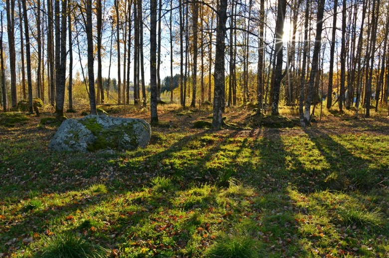 Päivääniemen röykkiökalmistoa.