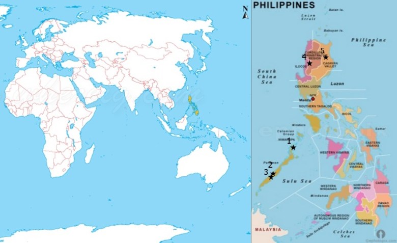 Filippiinien sijainti ja jutussa mainitut kohteet: 1. El Nido, 2. Duyong, 3. Tabon ja Manunggul, 4. Kabyan, 5. Callao