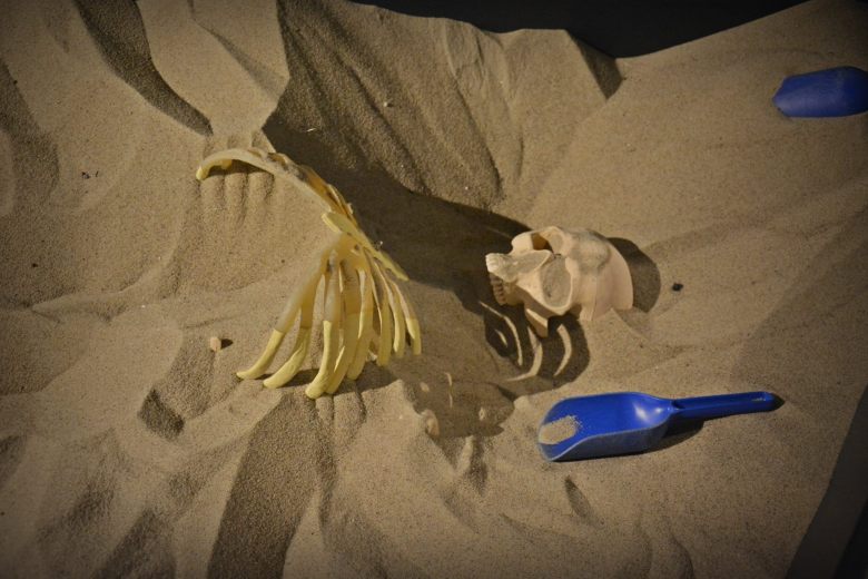 Näyttelyssä on lapsia ja lapsenmielisiä varten hiekkalaatikko, josta voi kaivaa esiin muoviluurangon. Kuva: Ulla Moilanen.