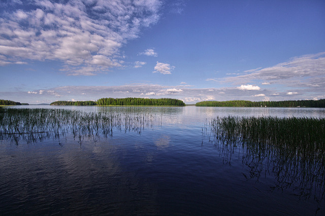 Maisemaa Päijänteeltä. Kuva: Miguel Virkkunen Carvalho/Flickr CC.