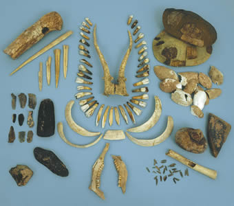 Bad Dürrenbergin hautauksen esinelöytöjä.