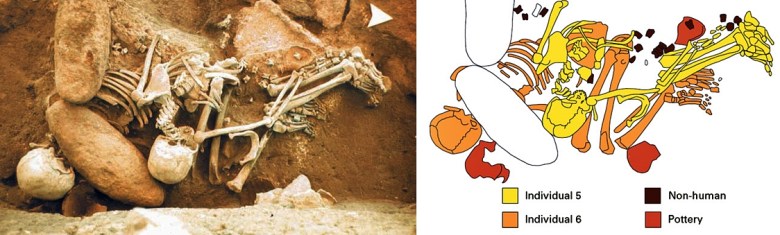 Anatoliasta Gordionista löytyneitä, väkivaltaisesti kuolleiden ihmisten jäännöksiä on pidetty uhreina, joita on tehty mm. tulevaisuuden ennustamiseksi. Jäännökset ajoittuvat noin 270-luvulle eaa. Kuvat: Mary M. Voigt / Sondra Jarvis & Carrie Alblinger. (Dandoy et al. 2002).