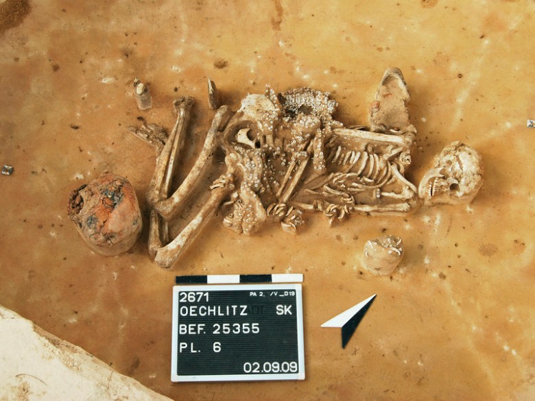 Nuorakeraaminen hauta, jossa antimina on astia sekä lukuisia eläimen hampaita ja simpukankuoria. Oechlitz, Saalekreis, Saksa. Kuva: D. Menke, LDA Sachsen-Anhalt.
