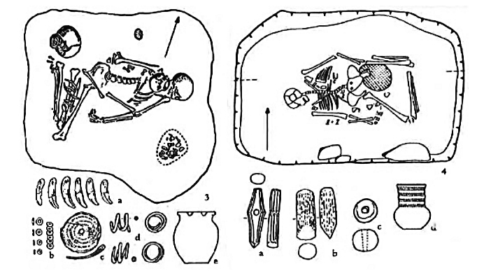 Tyypillinen Keski-Eurooppalainen nuorakeraamisen kulttuurin naisen (vas.) ja miehen (oik.) hautaus. Vainajilla yksilölliset hauta-annit ja sukupuolittunut bipolaarinen ruumiiden asettelu ja kylkisyys. Kuva: muokattu, Turek & Cern (2001).