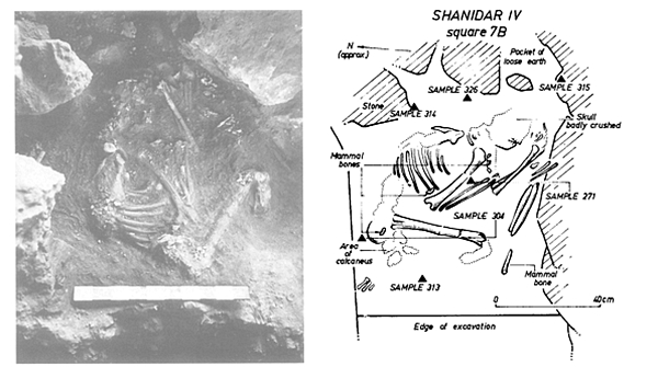 Vuonna 1975 Science-lehdessä julkaistu kuva Shanidar IV -nimellä tunnetusta "kukkahautauksesta".