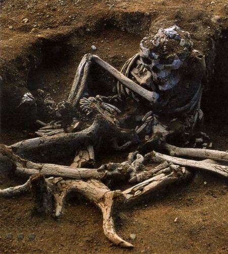 Skateholm II -kalmiston hauta XXII kuului noin 30-40-vuotiaalle naiselle, joka on haudattu istuvaan asentoon saksanhirven sarvien päälle. Kuva: Lars Larsson.