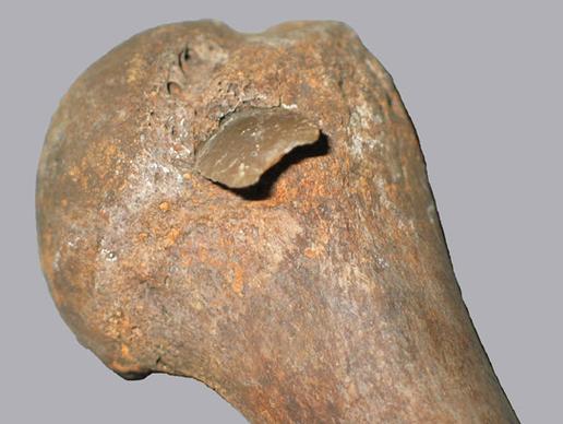 Piinuolenkärki reisiluussa. Kuva: Landesamt für Kultur und Denkmalpflege Mecklenburg-Vorpommern.