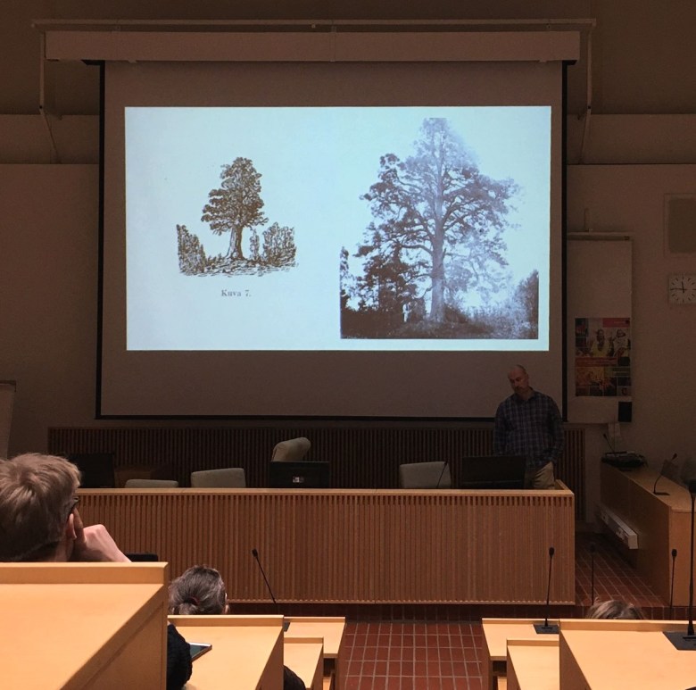 Ville Laakso Uukuniemen alttaripetäjä