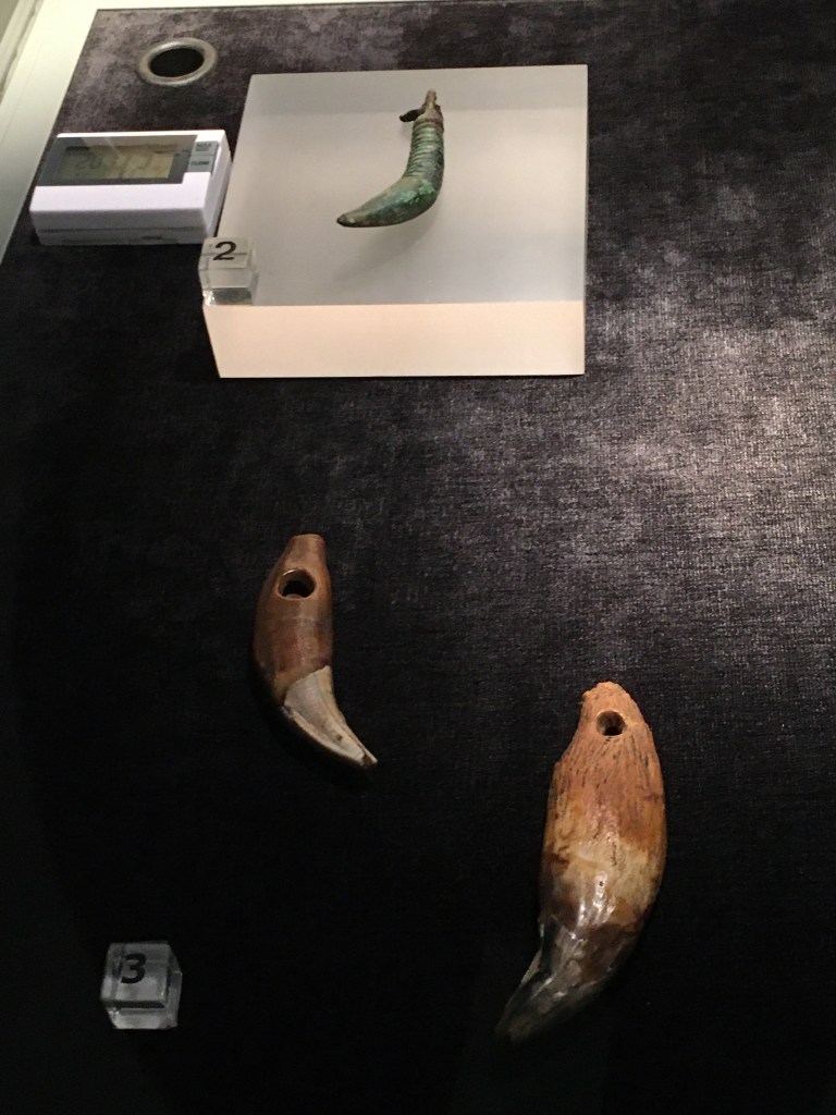 Karhunhammasriipuksia
