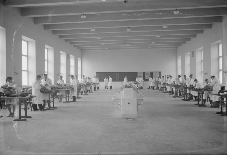 Anatomiset ruumiinavaukset. Kuva: Pietinen, k. Anatomianlaitos, vainajille tehdään ruumiinavauksia. Museovirasto, Finna.fi (CC BY 4.0).