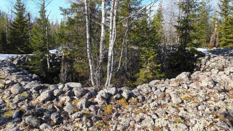 Tornion Rakanmäen kivirakkaan kaivettu ja rakennettu ”susihauta” vasemmalla, Keminmaan Jatulinlehdon vastaavanlainen rakenne oikealla.