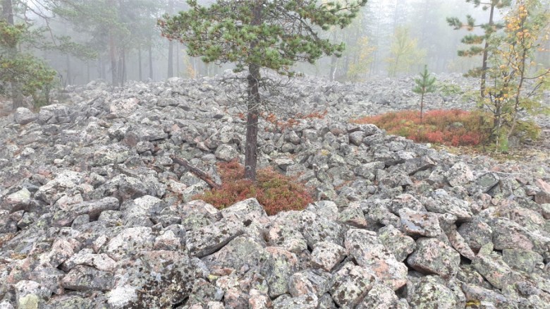 Kivirakoilta löytyy erilaisia rakenteita. Kuvassa näyttäviä, halkaisijaltaan osin jopa 5 metrisiä, kivikkoon kylmämuuraamalla rakennettuja ”jatulinkuoppia” Ylitornion Iso Himovaaralla. Kuva: Tornionlaakson museo – Tornedalens museum, kuva-arkisto.