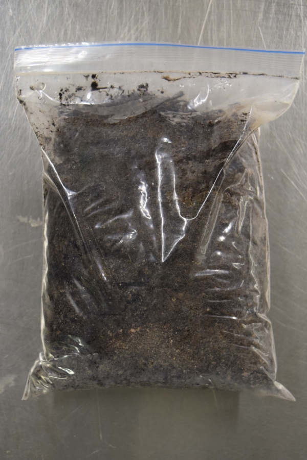 Maanäytteistä voidaan tutkia mikrobien lisäksi DNA:n säilyvyyttä. Kuvassa on minigrip-pussin sisällä olevaa multaista maata. Kuva: Heli Maijanen.